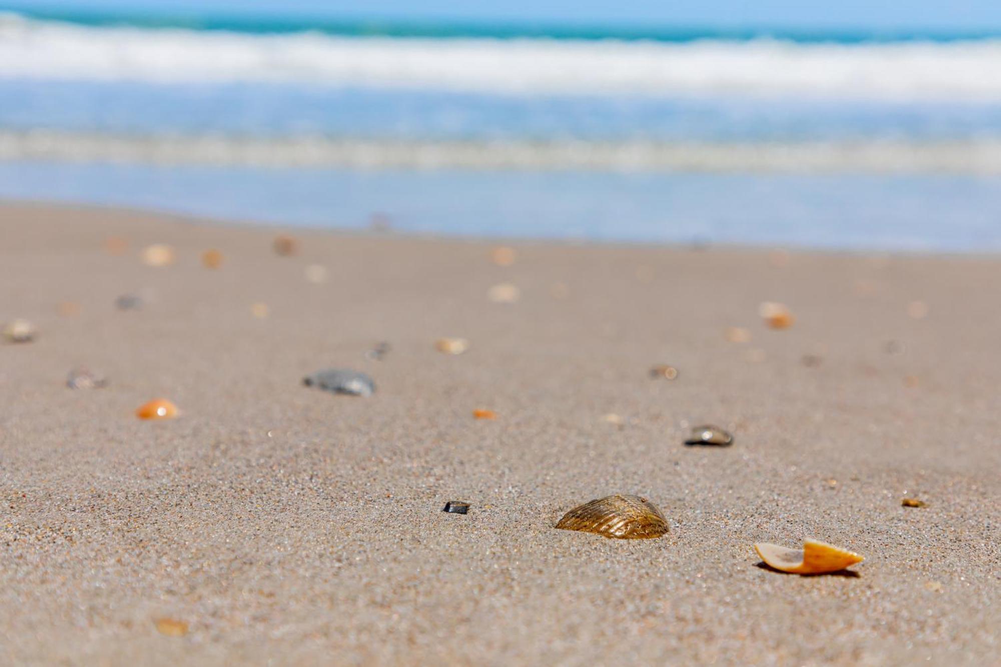 Beachside Hotel And Suites شاطئ كوكوا المظهر الخارجي الصورة